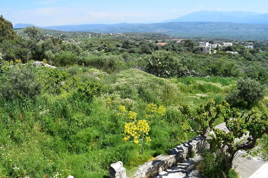 Holiday home Eirini'S Stone House Villa Megala Chorafia