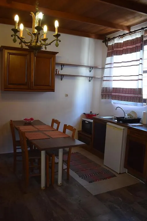 Eirini'S Stone House Villa Megala Chorafia